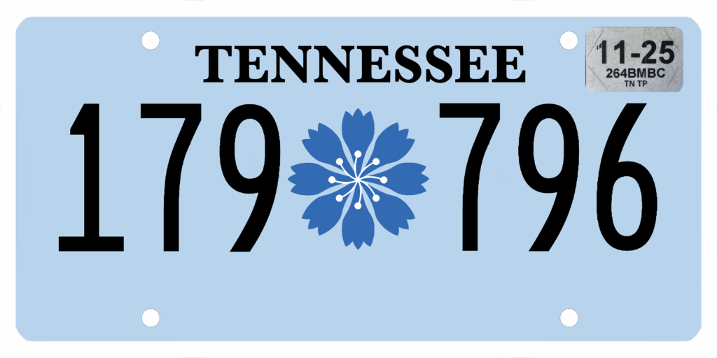 ALS blue corn flower logo