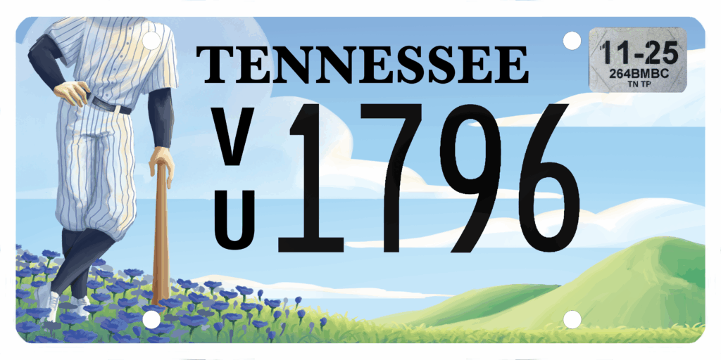 ALS flowers and baseball player