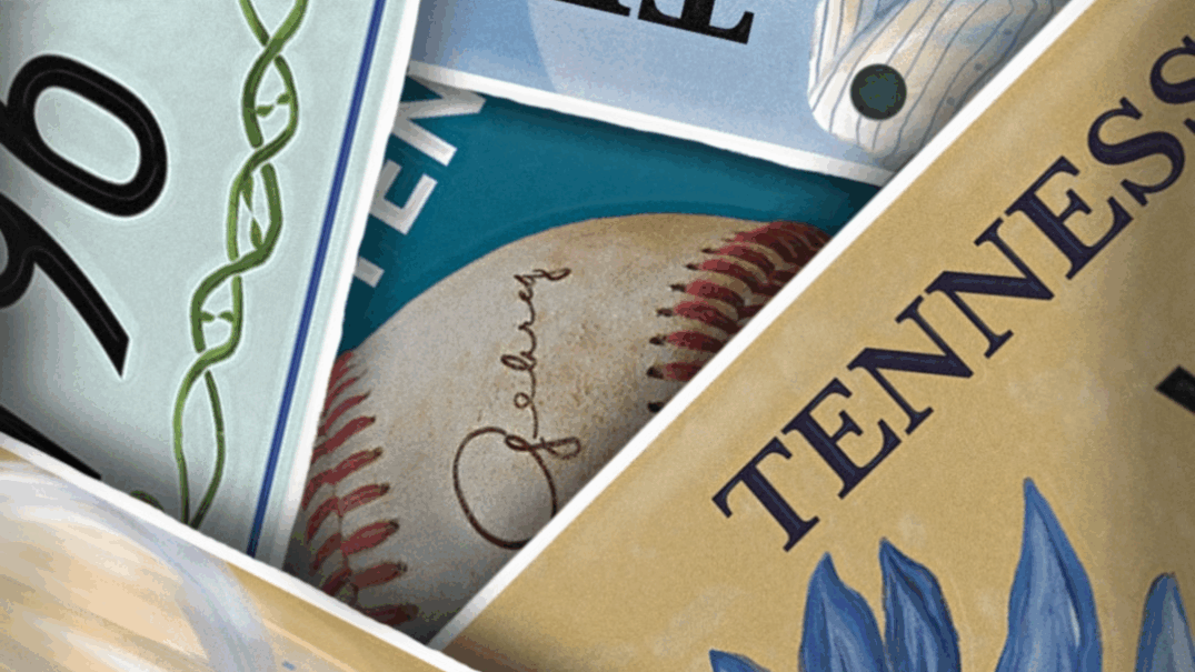 vumc license plates crop